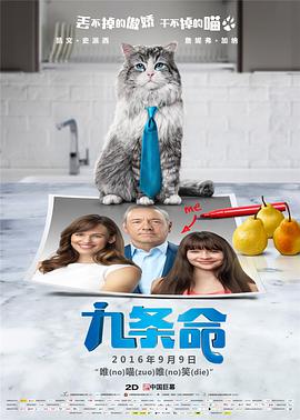 女工：浪漫工作